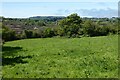 Pasture, Chacewater