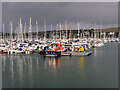 SW8132 : Small Boats Moored in Falmouth Harbour by David Dixon