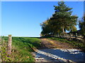 Track footpath with cattle grid, near Woolaston Grange, Woolaston