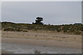 Dunes, Greatstone on Sea