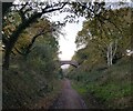 Bridge crossing a former railway line