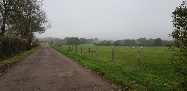 Rothercombe Lane, Stroud