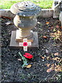 SO9975 : Grave 94 Lickey Cemetery, Remembrance Day 2022 by Roy Hughes