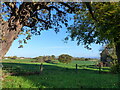 View across farmland, High Wollaston Farm, Woolaston, Gloucestershire