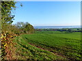 A hedge, a field, and the River Severn beyond, High Woolaston, Gloucestershire