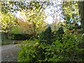 Drive to a dwelling, with autumn colours, Park Hill, Gloucestershire