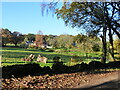 Sunny view from road across fields to dwellings, Park Hill, Gloucestershire