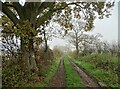 New Hall Lane in November murk