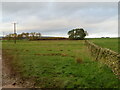 Fields at Cammerlaws