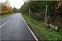 H4576 : Gortin Road, Mountjoy Forest East Division by Kenneth  Allen