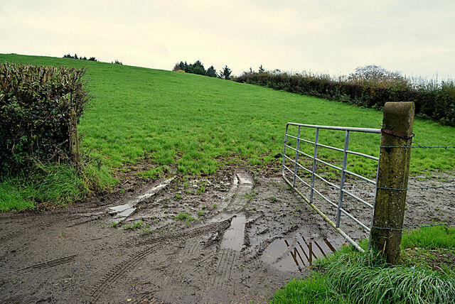 Muddy entrance to field, Mountjoy Forest East Division