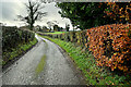 Cappagh Road, Mountjoy Forest East Division