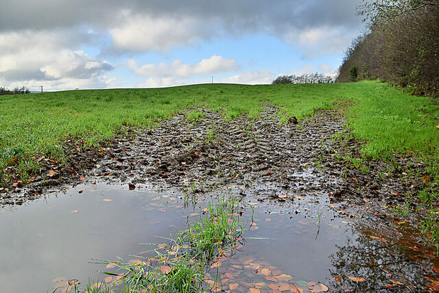 A muddy field, Mountjoy Forest East Division