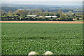 Arable land on the slopes of The isle of Thanet