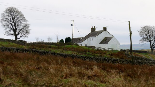 The house at Bogg