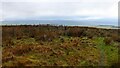 The summit of Coupland Knowe