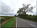 Holcot Road towards Brixworth