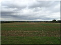 Field off Scaldwell Road