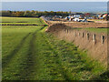 Field path to Amble