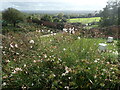 Looking across the walled garden at Chartwell