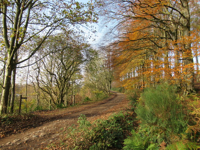 Track near Doune Ponds Nature Reserve