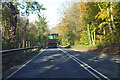 A363, Sally in the Wood, towards Bath