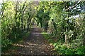 Brook Lane, near Perry Green