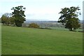 View over Ashleworth