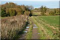 Track and farmland, Ewelme