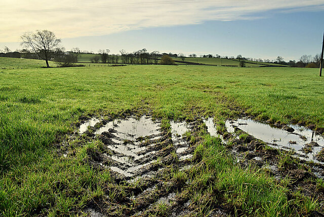 Muddy tracks in a field, Ramackan