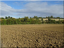 SP7881 : Field near Thorpe Underwood by JThomas