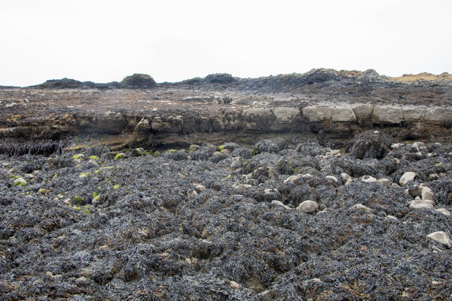 Different forms of lava, Usan, Angus © Adrian Diack cc-by-sa/2.0 ...