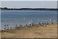 TL1667 : Low water levels at Grafham Water by Hugh Venables