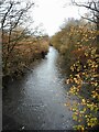 River Kelvin