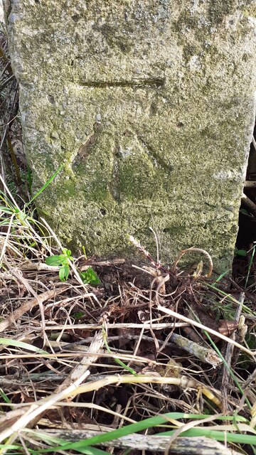 Benchmark on gatepost at gateway at junction of tracks between Linstock and Park Broom