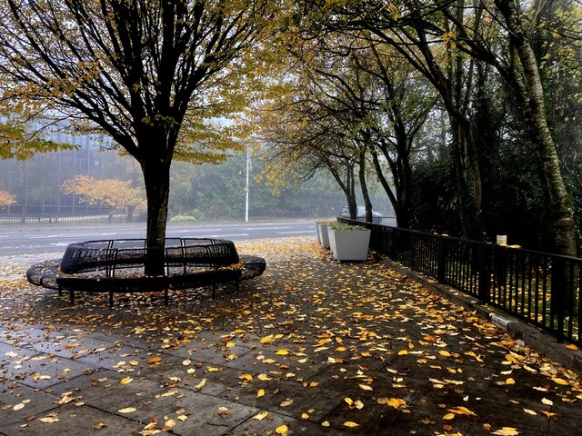 Fallen leaves, Memorial Place, Omagh