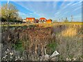 New housing and balancing pond east of Pirton