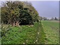 Footpath to Holwell