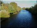 The River Ure from the bridge, West Tanfield