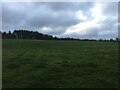 Field near Greencroft Farm