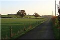 Daybreak over fields at Bankhead Farm