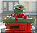 A poppy display on a Kelso post box