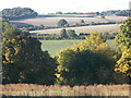 Looking south west from Lowndes Park