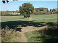 Path towards Bank Farm