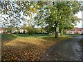 The village green, Ainderby Steeple