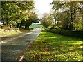 The road leaving the village, Ainderby Steeple