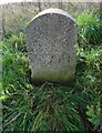 SO6513 : Boundary Stone, Cinderford by Mr Red