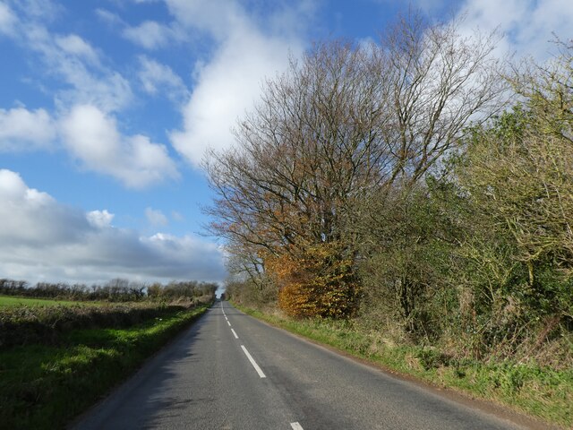 Priddy Road