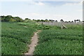 Footpath on Acol Hill