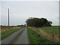 Walking  New  Road  toward  Moor  Cottage  Farm